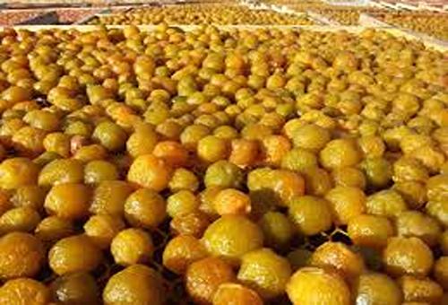 تصویر 4 از خرید و قیمت آلو زرد خشک شده + فروش عمده
